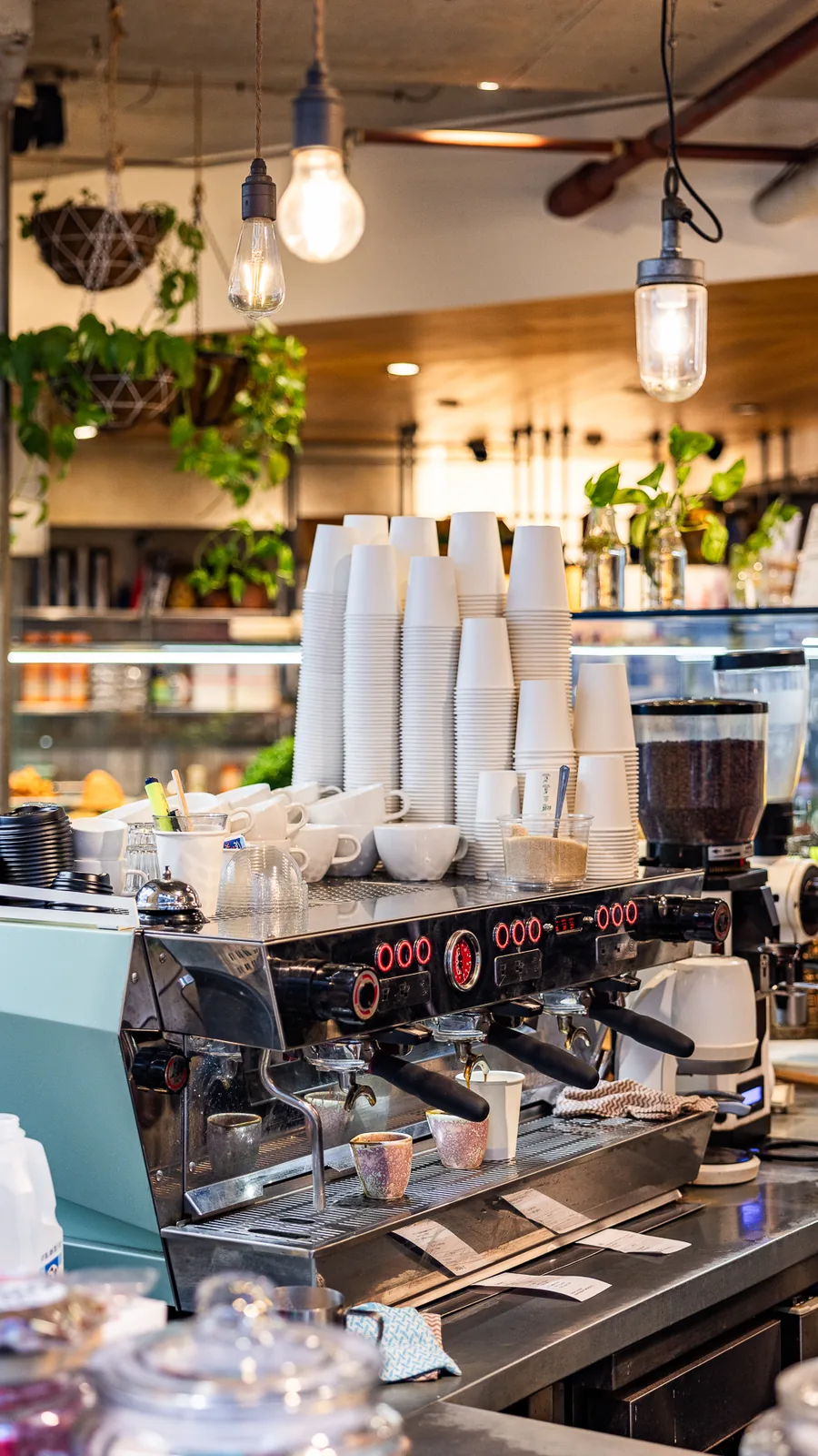 Interior of The Gardens 259 cafe with pendant lighting and coffee bar